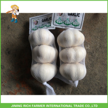 Hot Sale Wholesale Jinxiang China Fresh White Garlic 5.0CM Mesh Bag In Carton